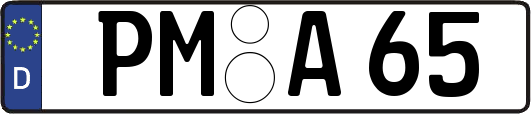 PM-A65