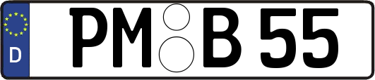 PM-B55