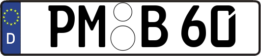 PM-B60