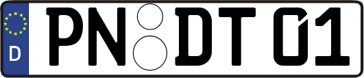 PN-DT01