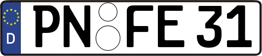 PN-FE31