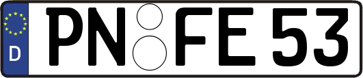 PN-FE53