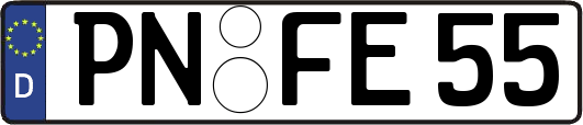 PN-FE55