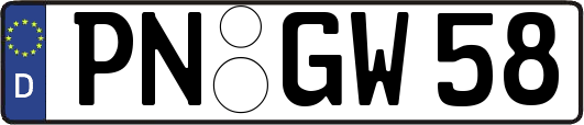 PN-GW58