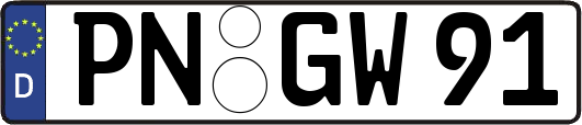 PN-GW91