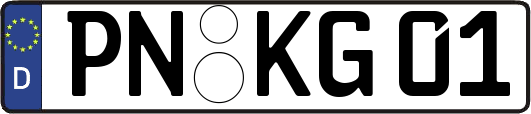 PN-KG01