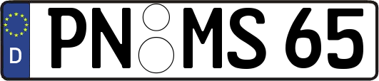PN-MS65
