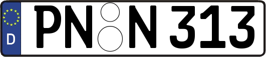 PN-N313