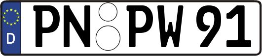 PN-PW91