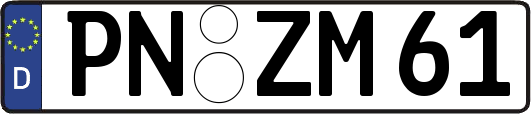 PN-ZM61