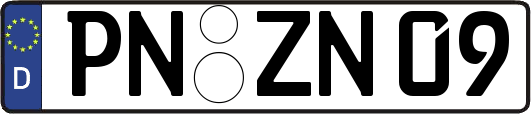 PN-ZN09