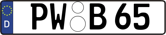 PW-B65