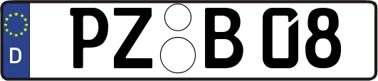 PZ-B08