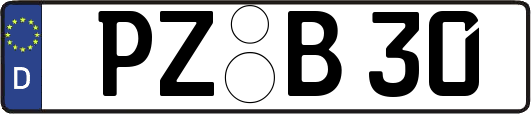 PZ-B30