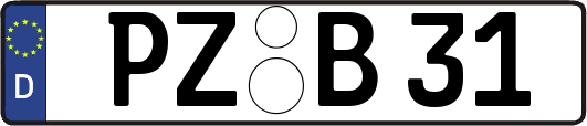 PZ-B31
