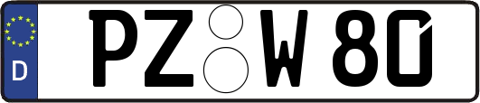 PZ-W80