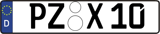 PZ-X10