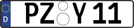 PZ-Y11