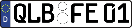 QLB-FE01