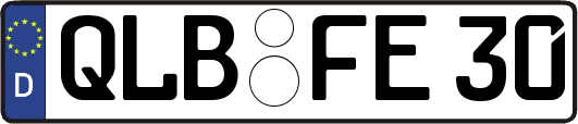 QLB-FE30
