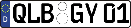 QLB-GY01