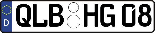 QLB-HG08