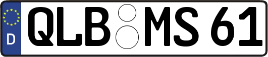 QLB-MS61