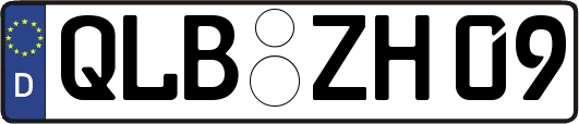 QLB-ZH09