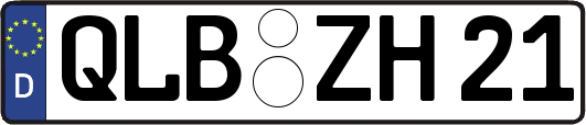QLB-ZH21