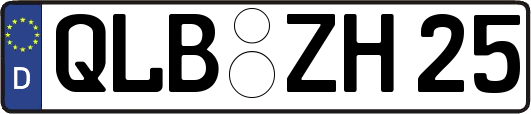 QLB-ZH25