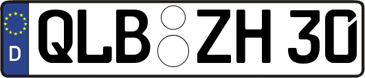 QLB-ZH30