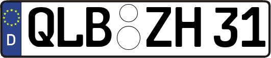 QLB-ZH31