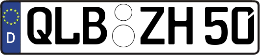 QLB-ZH50