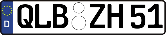 QLB-ZH51