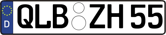 QLB-ZH55