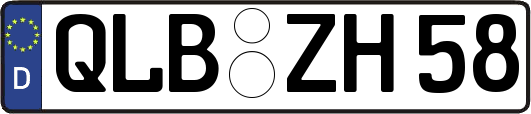 QLB-ZH58
