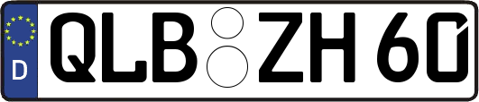 QLB-ZH60