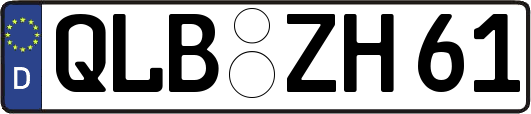 QLB-ZH61