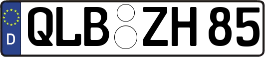 QLB-ZH85