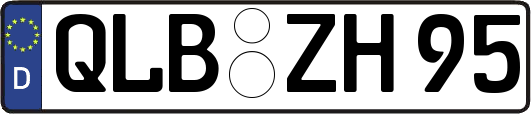QLB-ZH95