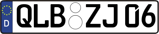 QLB-ZJ06