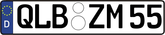 QLB-ZM55