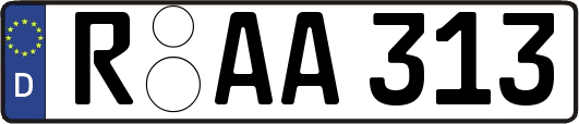R-AA313