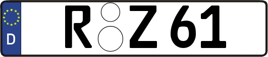 R-Z61