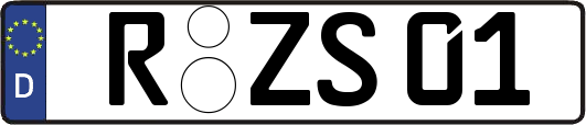 R-ZS01