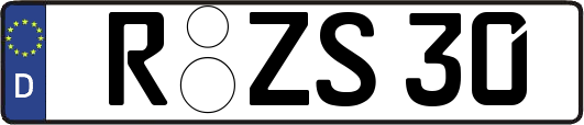 R-ZS30