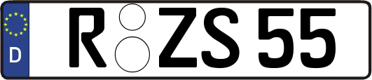 R-ZS55