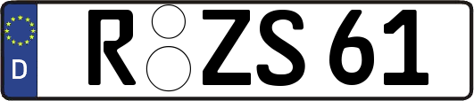 R-ZS61
