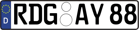 RDG-AY88