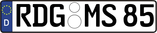 RDG-MS85